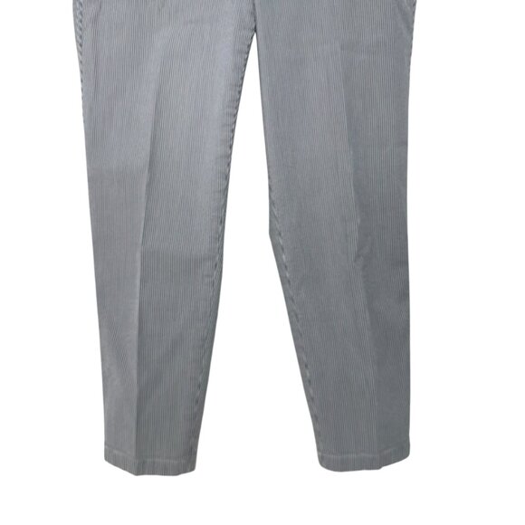 Talbots Petite Women Blue Striped Girlfriend Chino Pant SZ 10P Business Casual - Picture 10 of 10